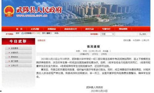 最近60天新闻爆料,揭秘近期社会焦点与舆论热点  第2张