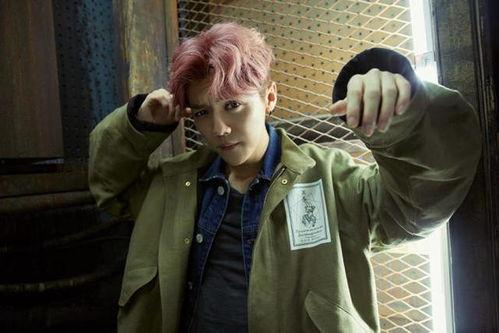 鹿晗最新消息爆料视频,独家爆料视频大揭秘  第1张