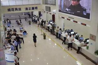 焦作车管所爆料事件最新,内幕曝光,真相背后引关注 第1张 焦作车管所爆料事件最新,内幕曝光,真相背后引关注 第1张